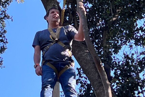 WhatsApp Image 2025-10-23 at 17.53.22