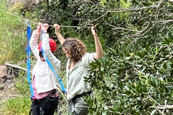 WhatsApp Image 2025-10-23 at 17.53.24