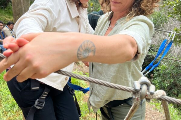 WhatsApp Image 2025-10-23 at 17.53.25