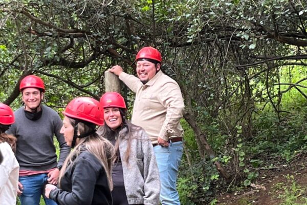 WhatsApp Image 2025-10-23 at 17.53.26